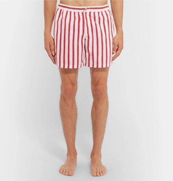 Striped Swim Shorts - Image 3