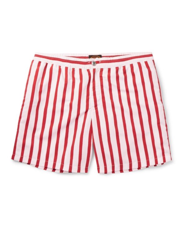 Striped Swim Shorts