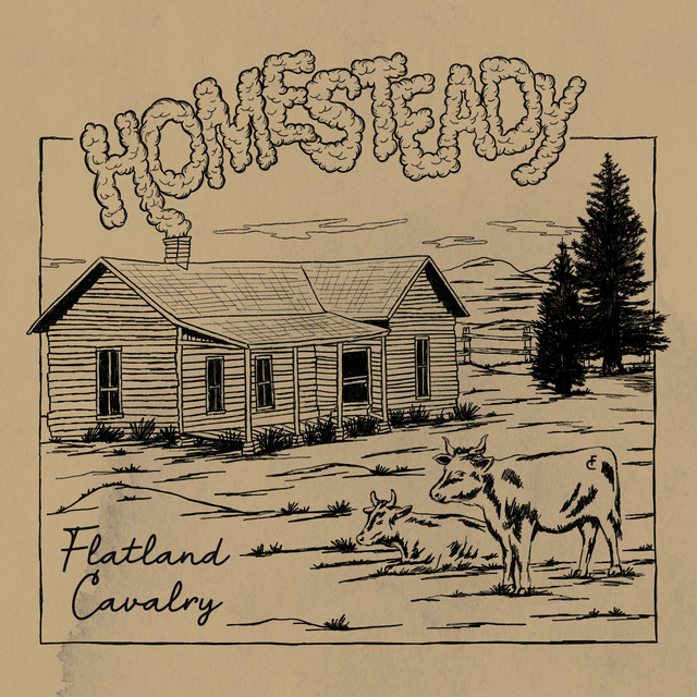 Homesteady Home Demo mp3 image 1