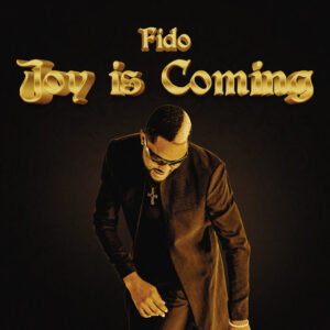 Joy Is Coming mp3 image 1