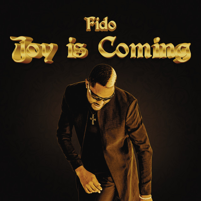 Joy Is Coming mp3 image 1