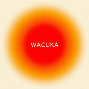 Wacuka mp3 image 1