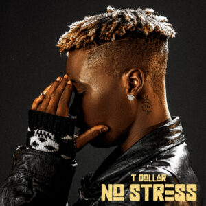 Cover of No Stress by T DOLLAR