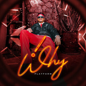 Cover of Why by Platform