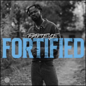 Fortified mp3 image