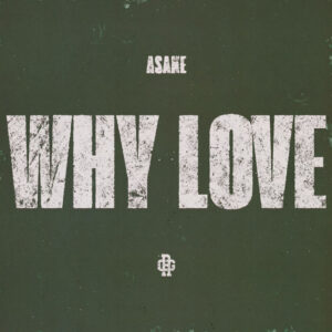 WHY LOVE Asake mp3 image 1