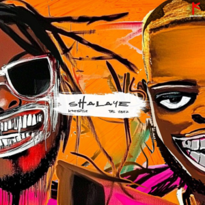 Shalaye mp3 image
