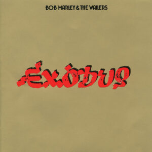 The Heathen Bob Marley The Wailers mp3 image