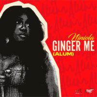 Ginger Me Alum Niniola mp3 image