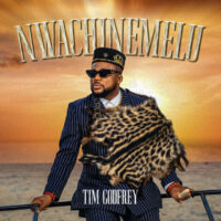 Nwachinemelu Tim Godfrey mp3 image